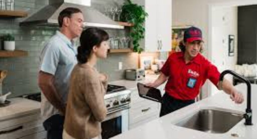 Bellingham AI Services!